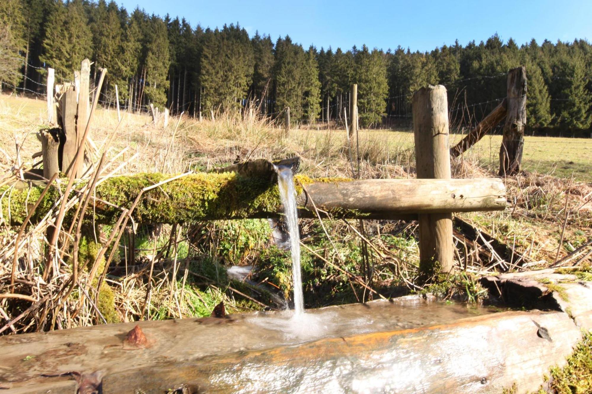 Appartamento Fewo Hoher Eimberg Niedersfeld Winterberg Esterno foto